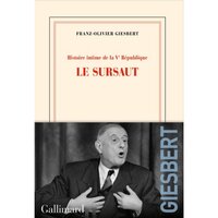 LA CONSEILLERE. MARIE-FRANCE GARAUD, LA FEMME LA PLUS PUISSANTE DE LA VE  REPUBLIQUE, Faye Olivier pas cher 