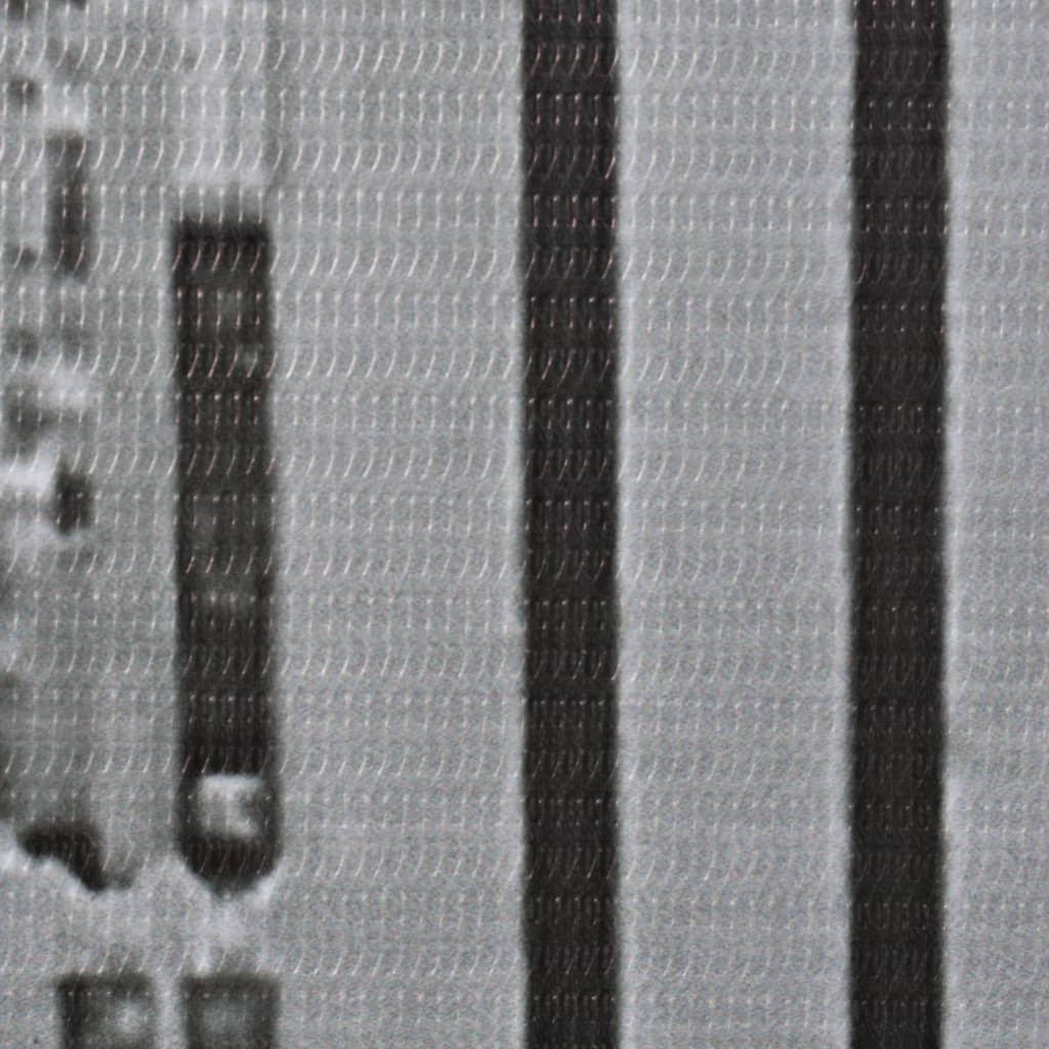 Voir la diapositive 4 : VIDAXL Cloison de separation pliable 200x170 cm New York Noir et blanc