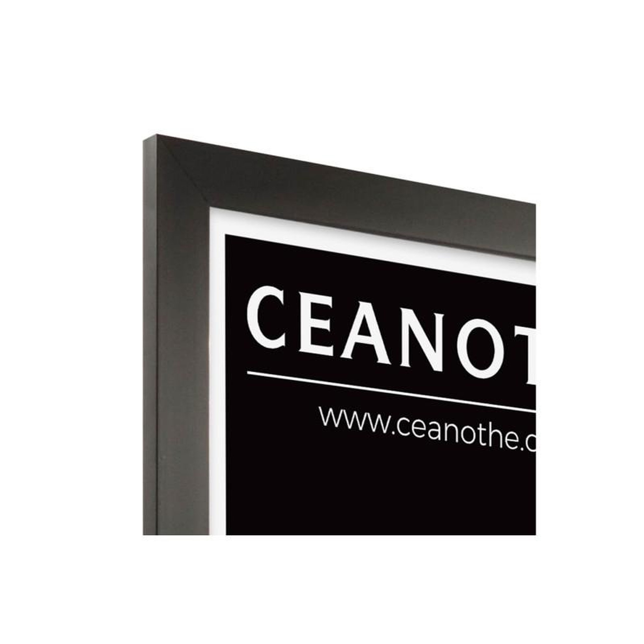 Voir la diapositive 4 : CEANOTHE Cadre Ceanothe CADRE 50X70 ETERNEL NOIR