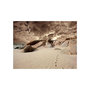 Voir la diapositive 2 : Paris Prix Papier Peint  Plage