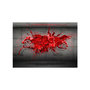 Voir la diapositive 2 : Paris Prix Papier Peint  Red Ink Blot