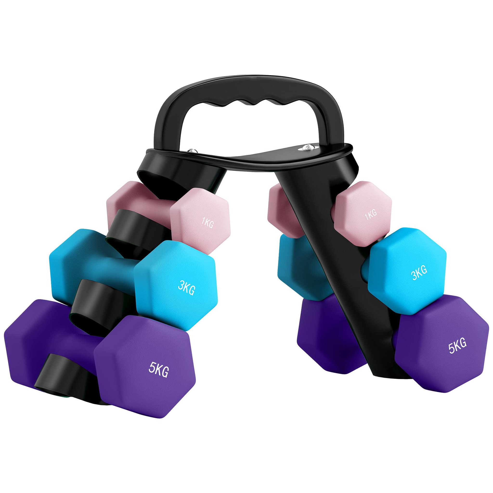 HOMCOM Support noir pour 6 haltères vinyles - 6 haltères incluses total 48 kg - noir rose bleu violet