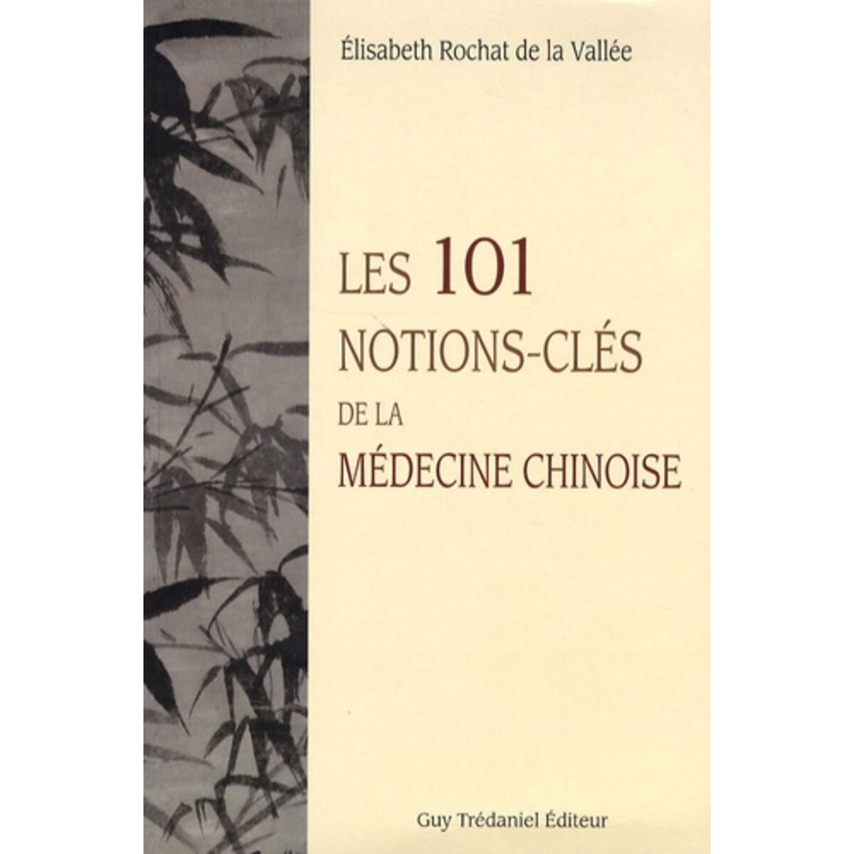  LES 101 NOTIONS-CLES DE LA MEDECINE CHINOISE, Rochat de La Vallée Elisabeth