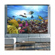 Multicolore