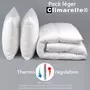 DODO Pack Climarelle® Thermorégulation couette LEGERE + oreiller