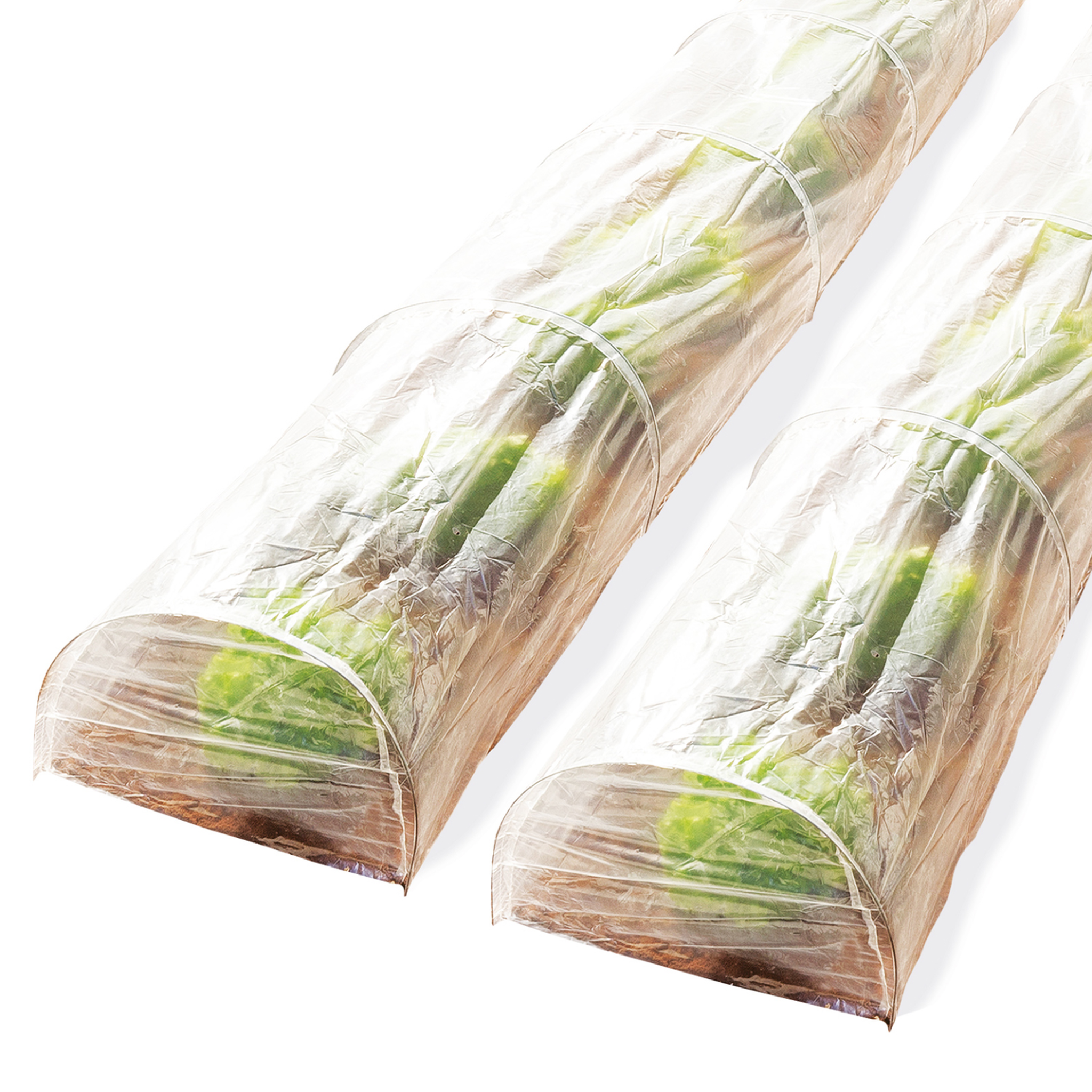 ID MARKET Lot de 2 tunnels de forçage accordéon 4m