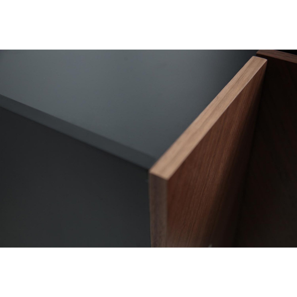 CONCEPT USINE Meuble d'appoint vintage avec placard SEQUOIA