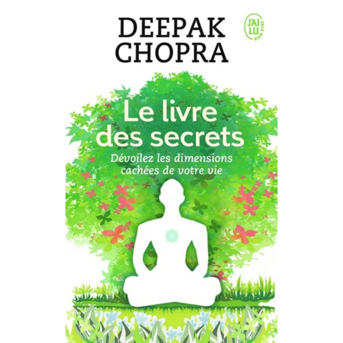  LE LIVRE DES SECRETS. DECOUVREZ LES DIMENSIONS CACHEES DE VOTRE VIE, Chopra Deepak