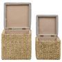 Voir la diapositive 5 : VIDAXL Repose-pied lot de 2 Jacinthe d'eau Gris