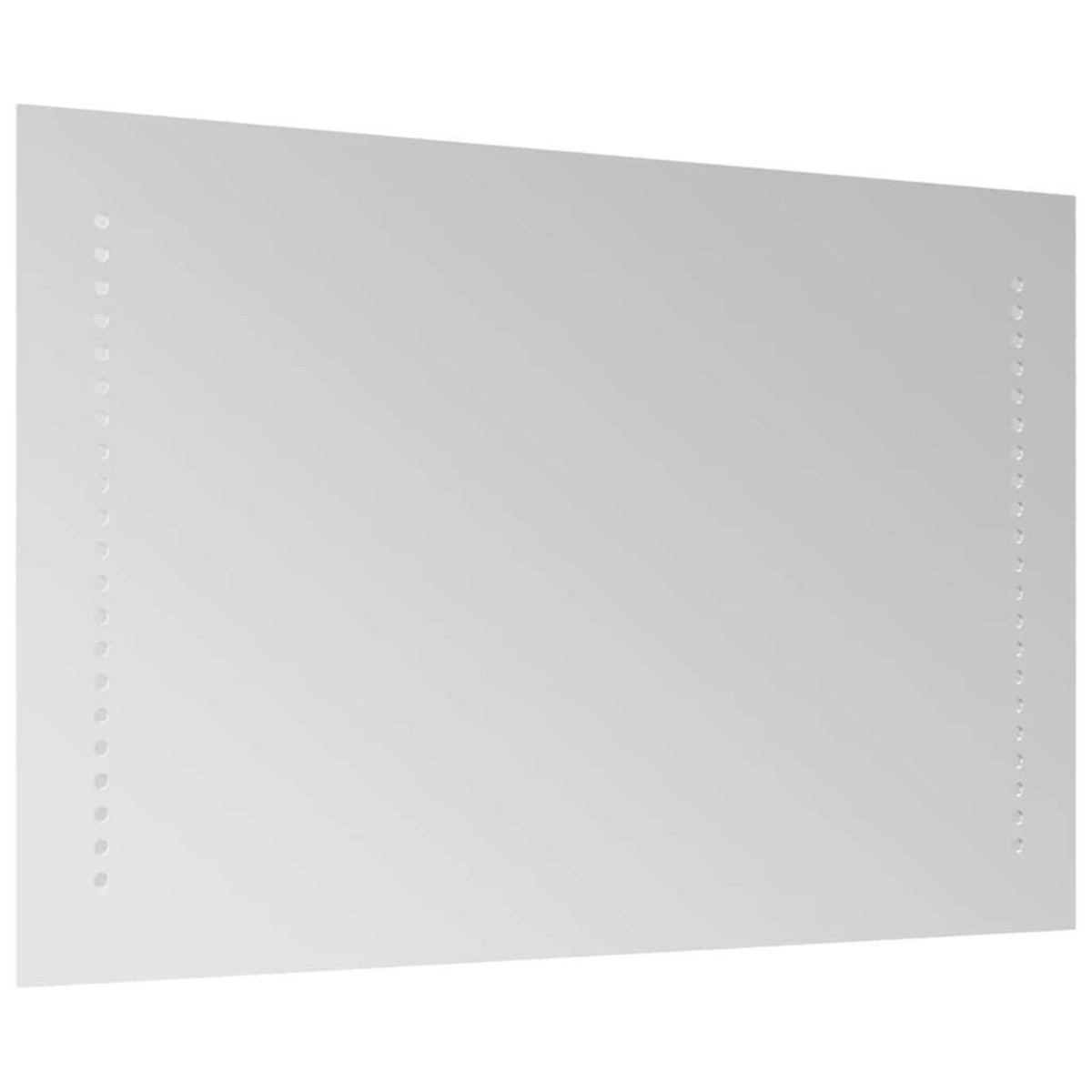 VIDAXL Miroir de salle de bain a LED 60x40 cm