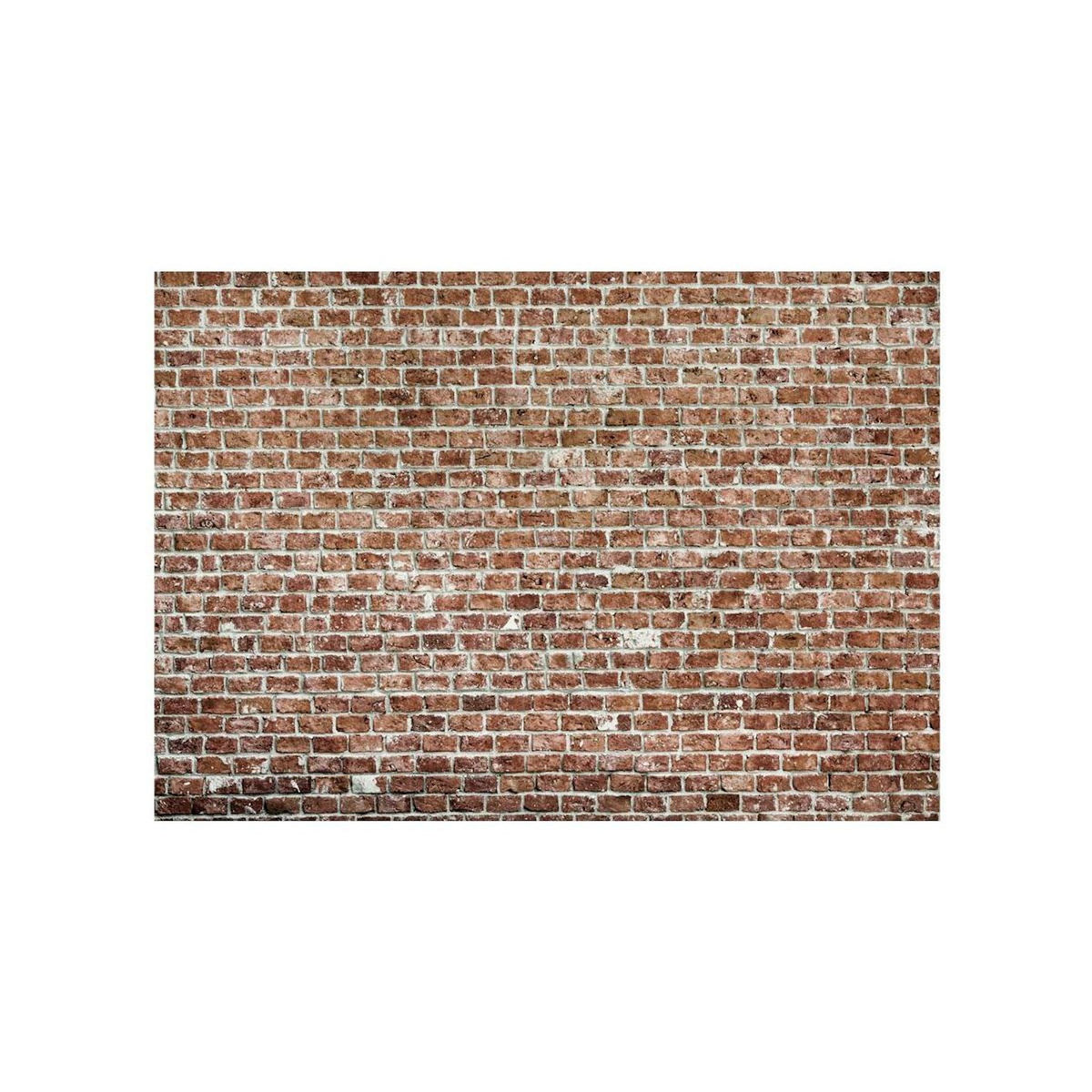 Paris Prix Papier Peint  Old Dominion