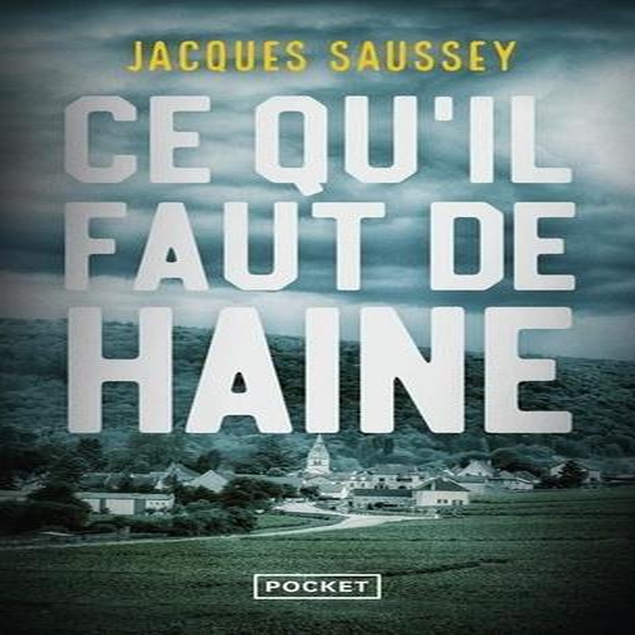 CE QU'IL FAUT DE HAINE, Saussey Jacques