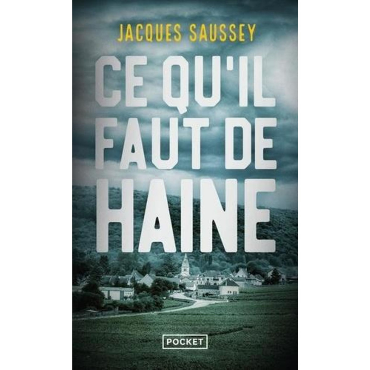 CE QU'IL FAUT DE HAINE, Saussey Jacques