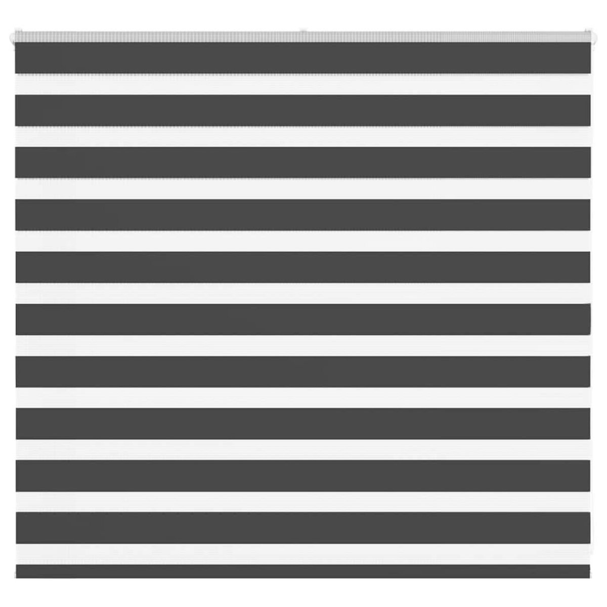 VIDAXL Store zebre noir 155x100 cm largeur du tissu 150,9 cm polyester