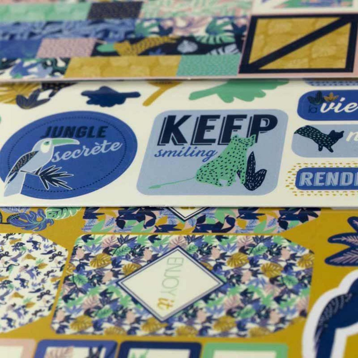 Toga Bullet journal Jungle Vibes coffret à personnaliser