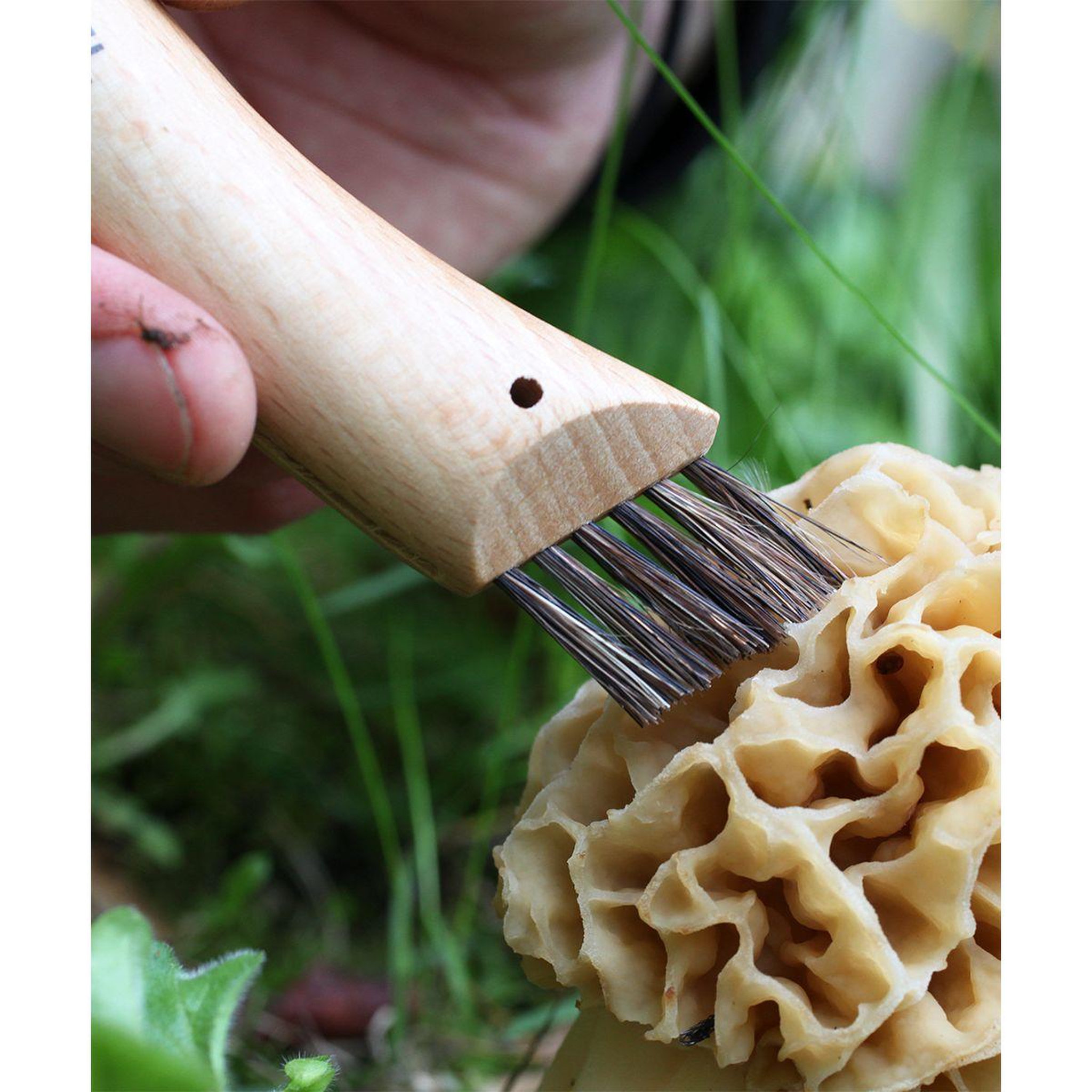 Voir la diapositive 5 : Opinel Couteau d'office Cuisine Nomade champignon
