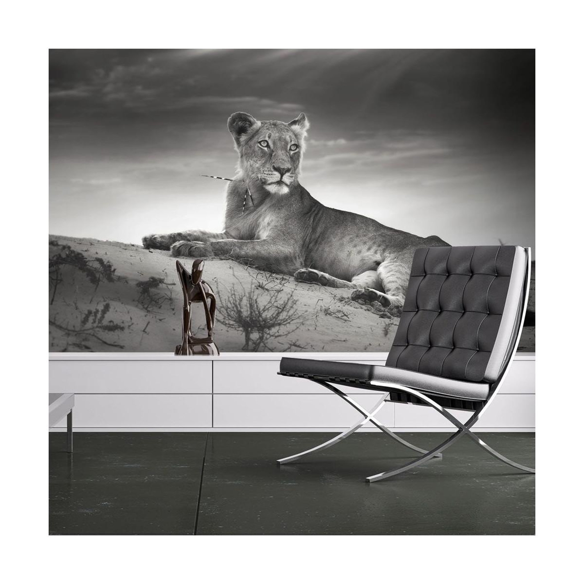 Voir la diapositive 1 : Paris Prix Papier peint  une lionne en noir & blanc