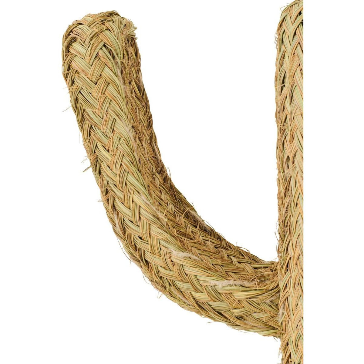 Paris Prix Cactus Déco Herbe  Afrique  105cm Naturel