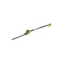 Voir la diapositive 1 : Ryobi Taille-haies électrique sur perche RYOBI - RPT4545E - 450 W
