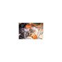 Voir la diapositive 4 : Philips PHILIPS HR7510/10 Robot Compact Viva Collection - 800W, avec blender 1L et presse-agrume