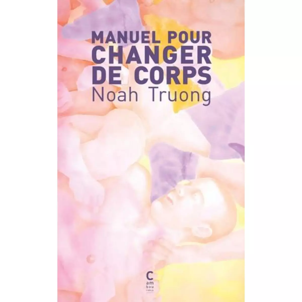  MANUEL POUR CHANGER DE CORPS, Truong Noah