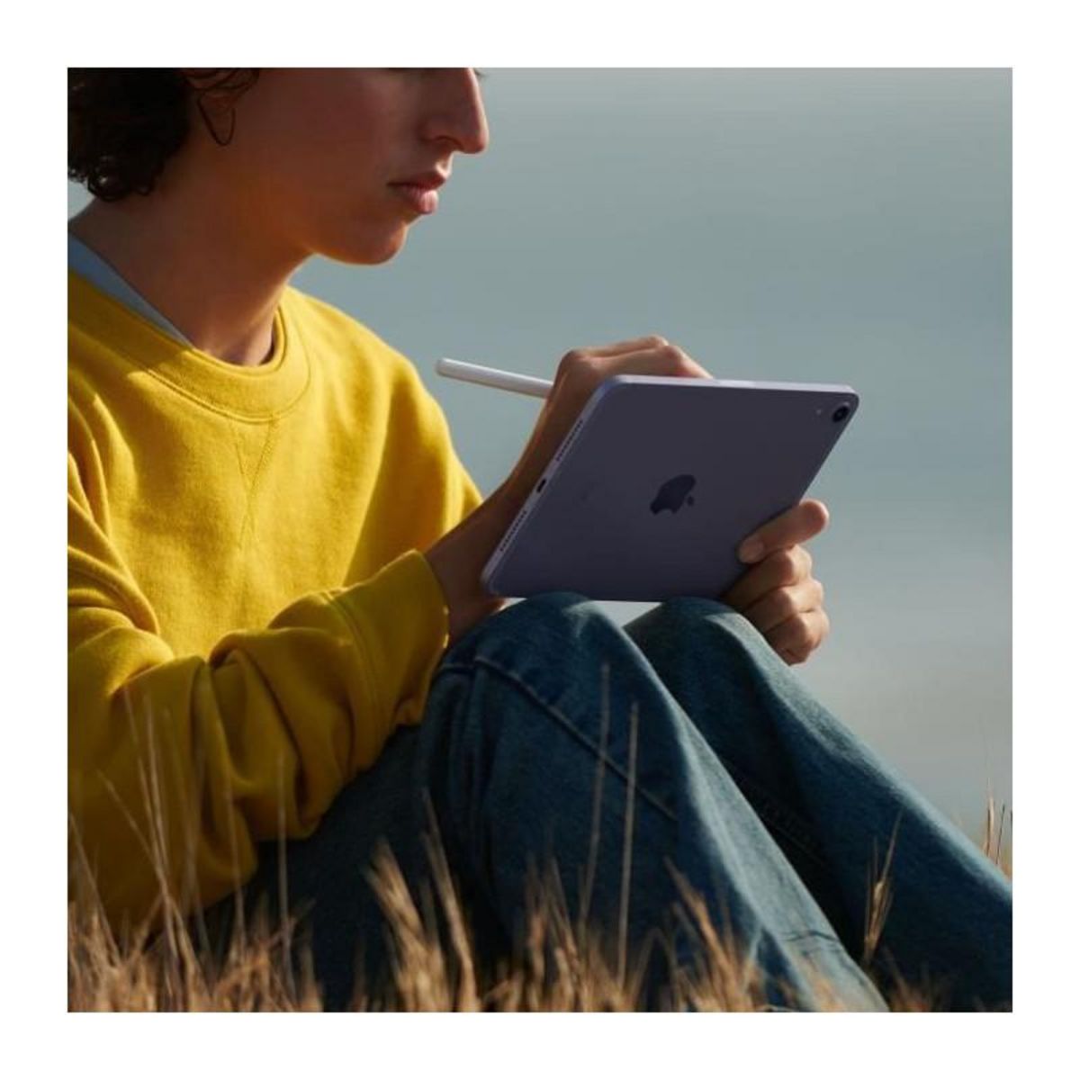 APPLE Tablette Apple Mini 8.3 5G 256Go Gris sidéral