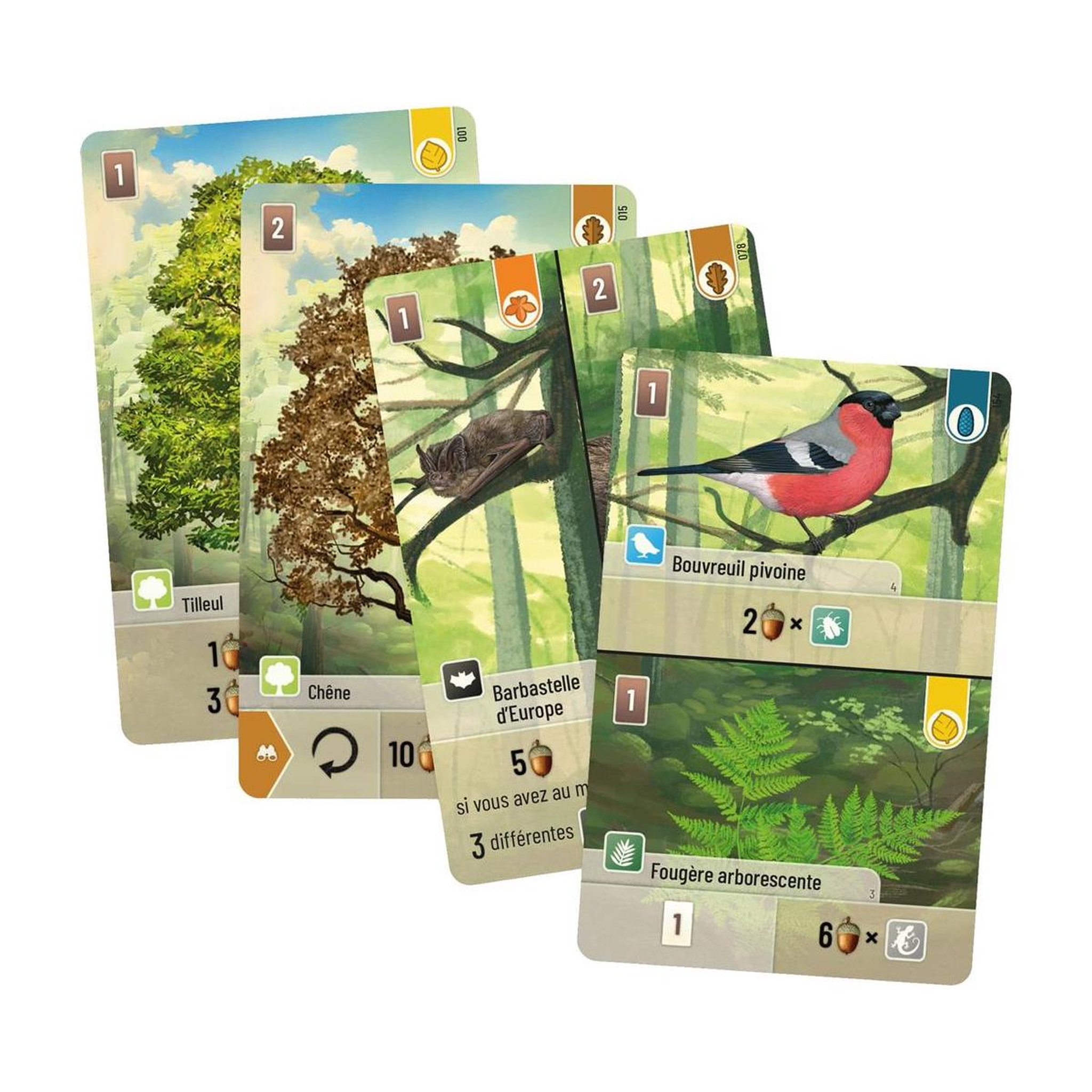 Voir la diapositive 2 : Asmodee Foret mixte - Jeu de societe