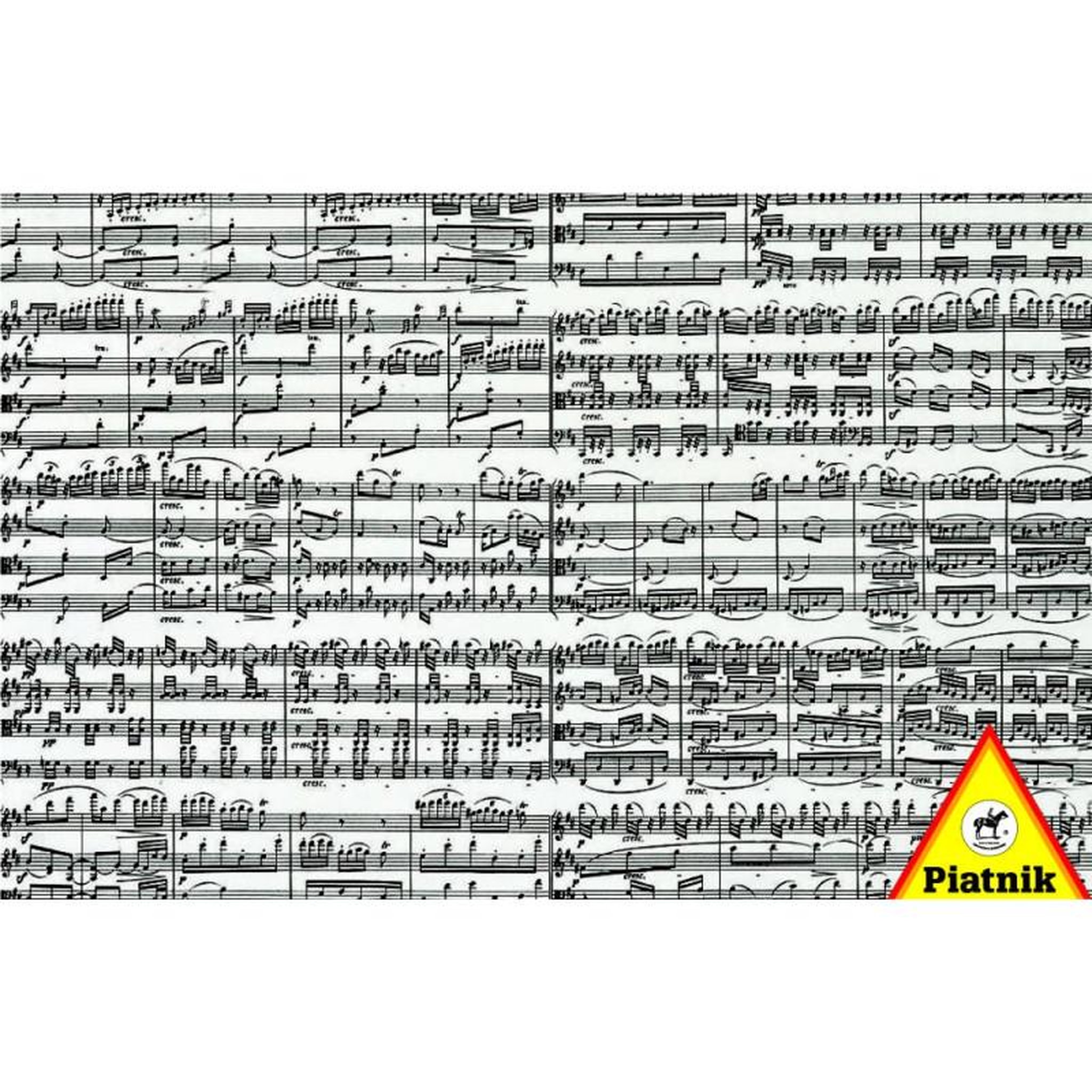 Piatnik PIATNIK Puzzle Les notes musicales 1000 pièces