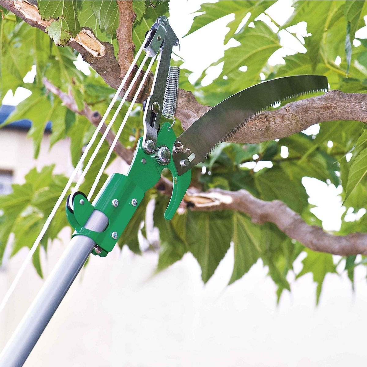 Ribiland Élagueur télescopique