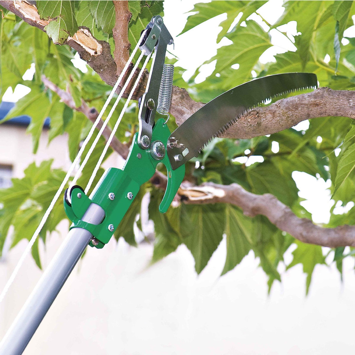 Ribiland Élagueur télescopique