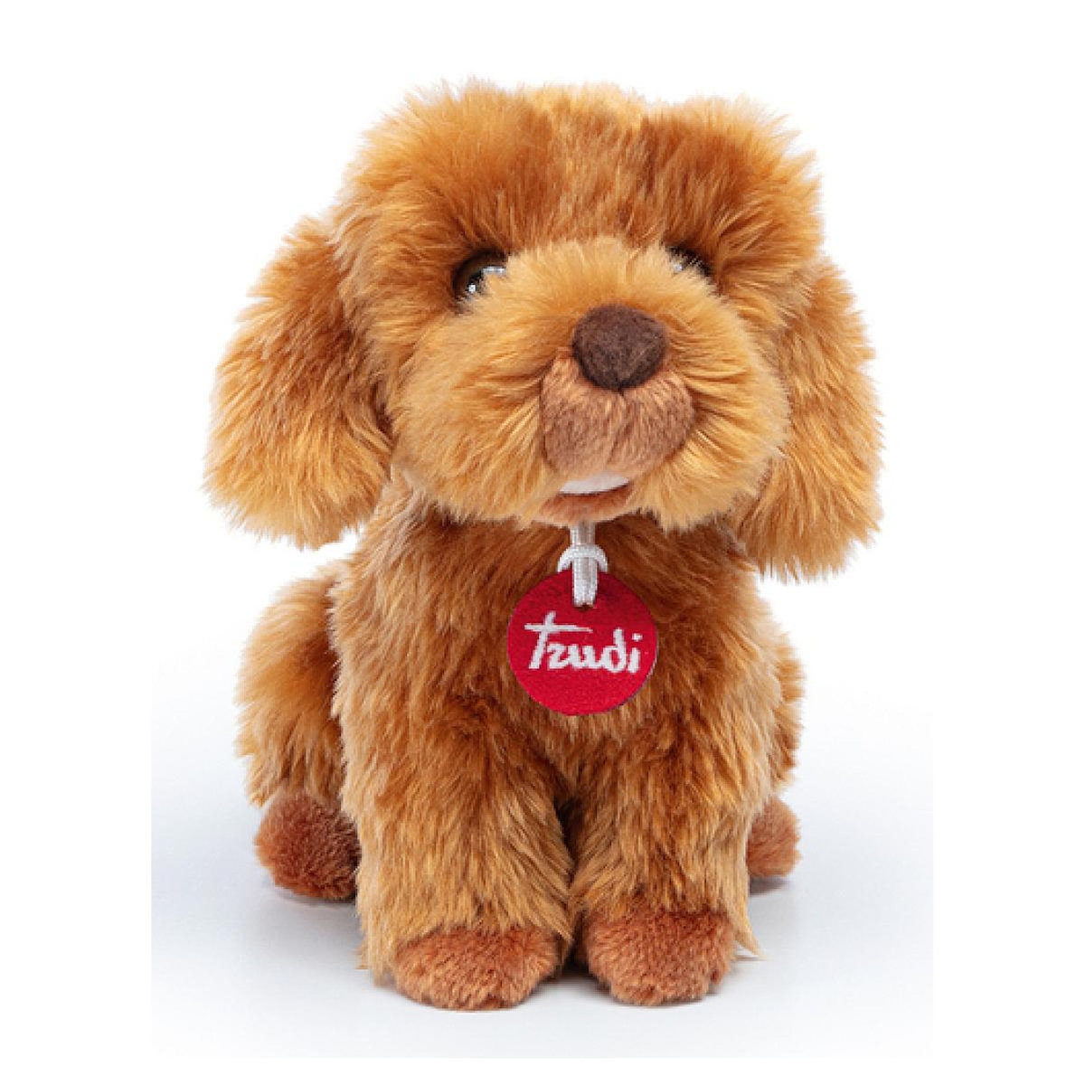 Trudi - Caniche Toy Oliver Assis