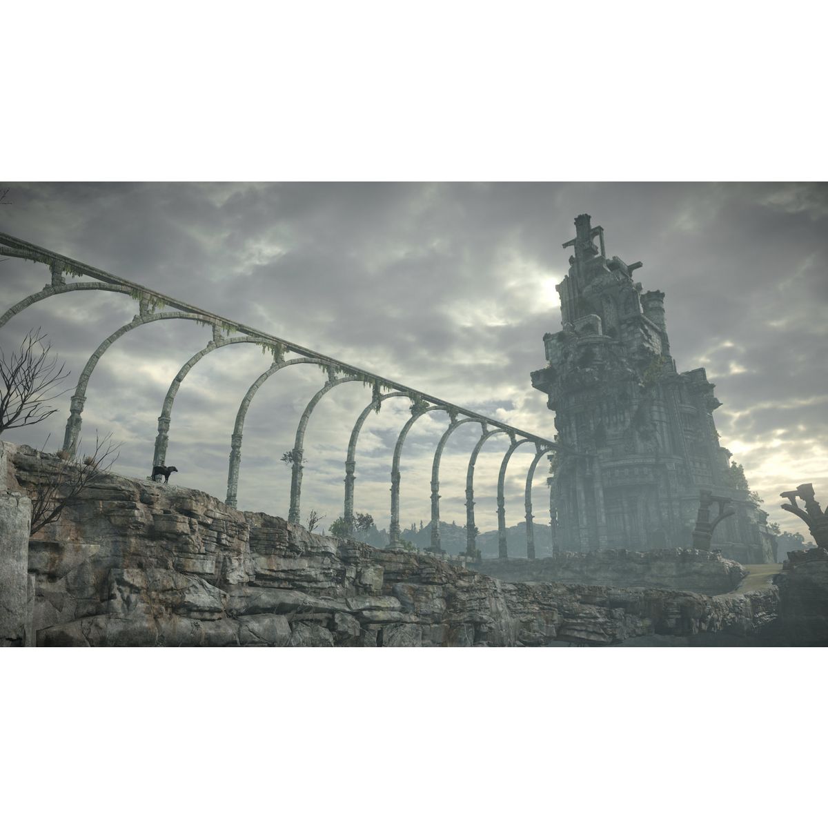 SONY Shadow of the Colossus PS4