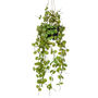 Voir la diapositive 2 : EMERALD Emerald Plante artificielle suspendue Ceropegia 50 cm en pot