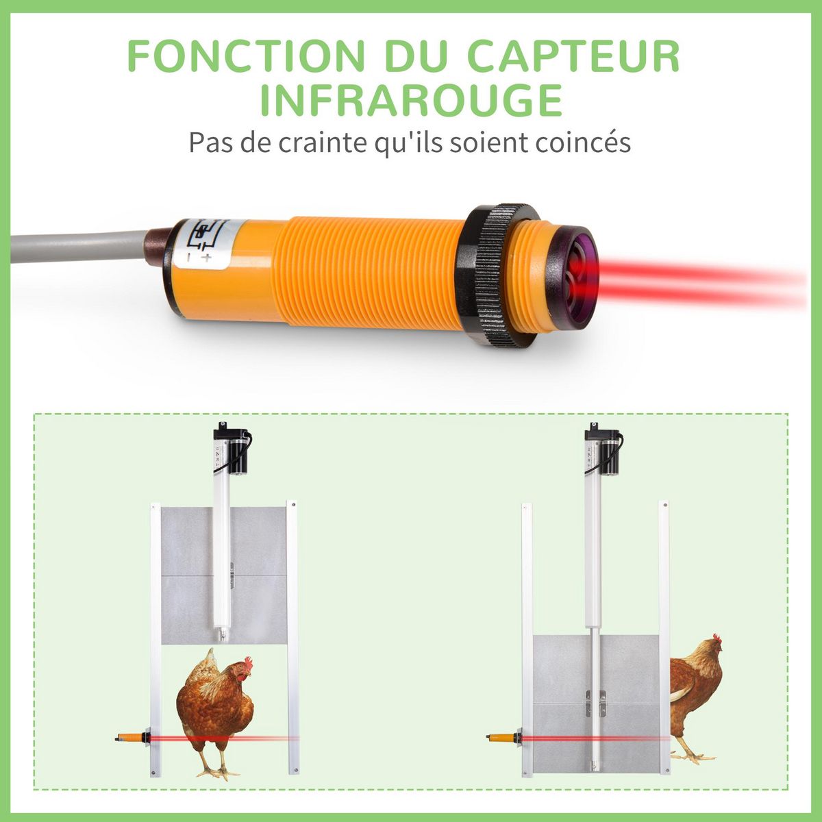 PAWHUT Porte automatique pour poulailler - minuterie, capteur de luminosité, 2 télécommandes, kit installation inclus - alu. ABS gris