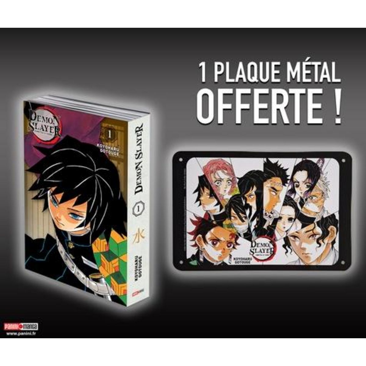DEMON SLAYER TOME 1 : EDITION PILIER. AVEC 1 PLAQUE METAL OFFERTE, Gotouge Koyoharu