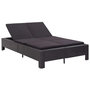 Voir la diapositive 1 : VIDAXL Transat a 2 places avec coussin Noir Resine tressee