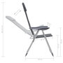 Voir la diapositive 6 : VIDAXL Chaise de camping lot de 2 Gris 58x69x111 cm Aluminium