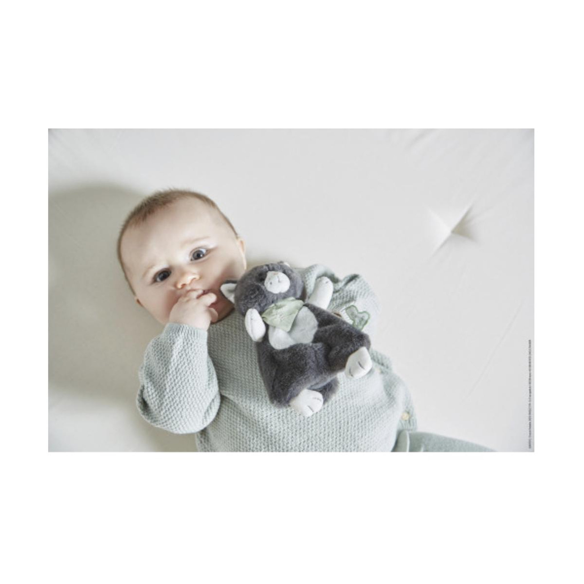 Voir la diapositive 3 : Kaloo Doudou chat Chamallow - 18cm