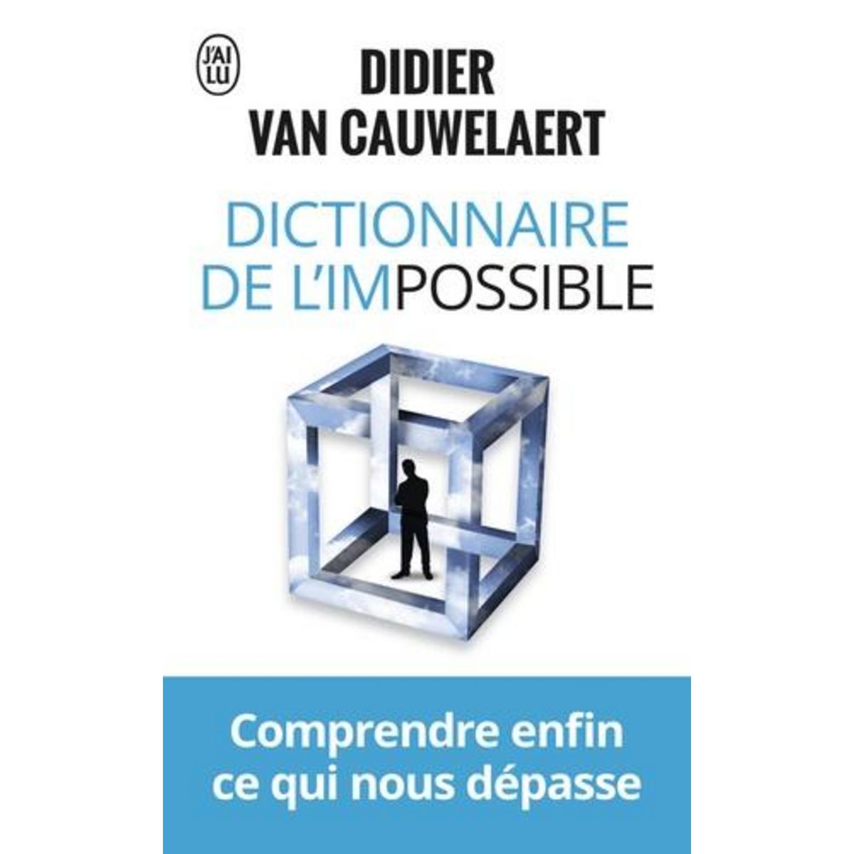 DICTIONNAIRE DE L'IMPOSSIBLE, Van Cauwelaert Didier