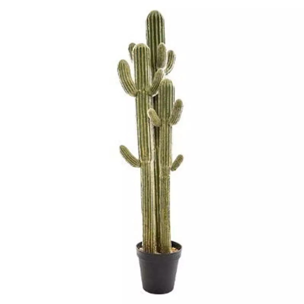  Plante Artificielle  Cactus 3 Troncs  148cm Vert
