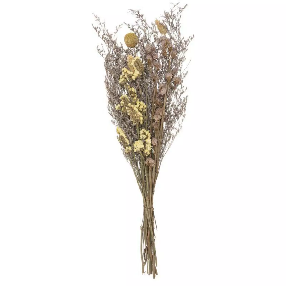 ATMOSPHERA Bouquet de Fleurs Séchées  Nature  50cm Multicolore
