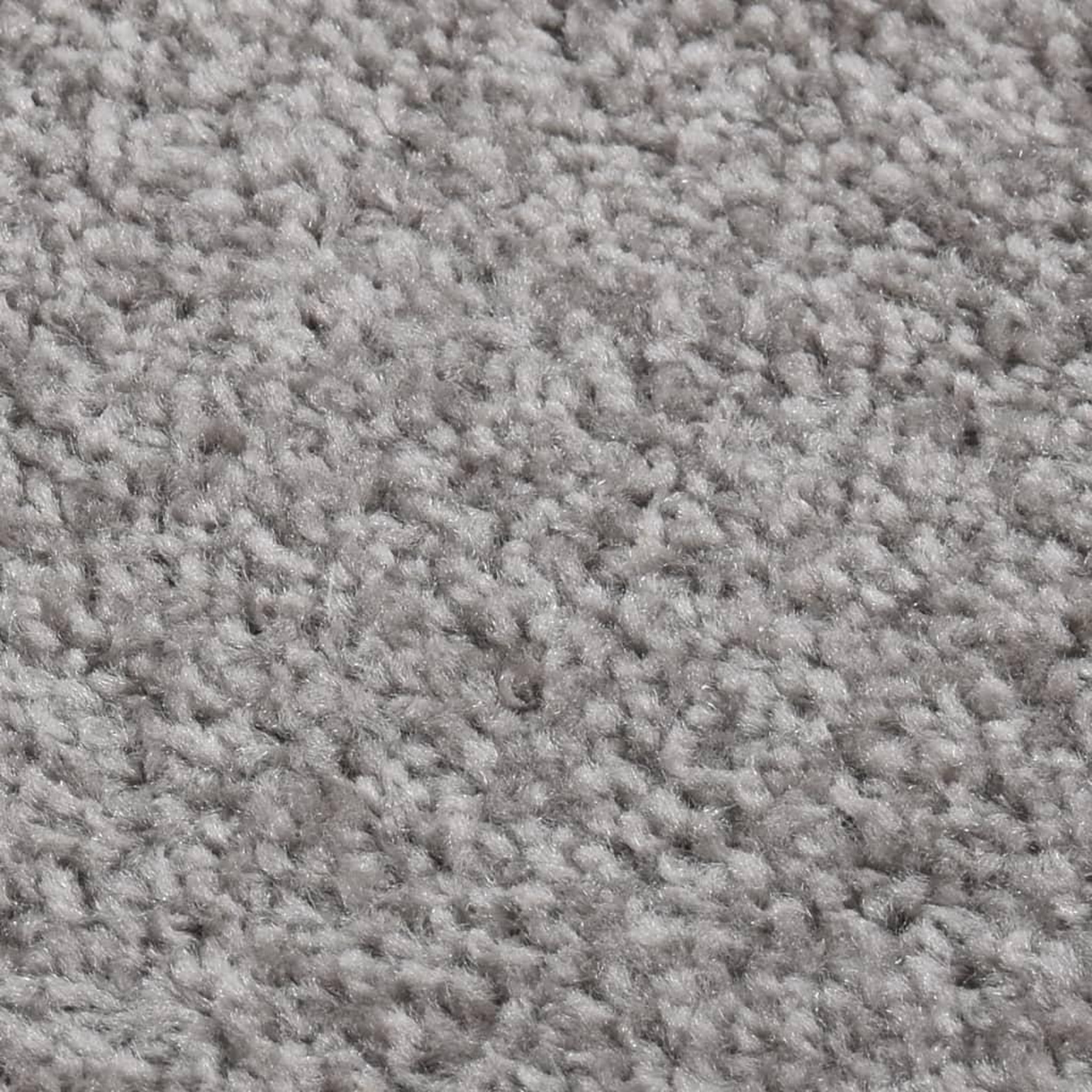 Voir la diapositive 2 : VIDAXL Tapis a poils courts 80x150 cm Gris