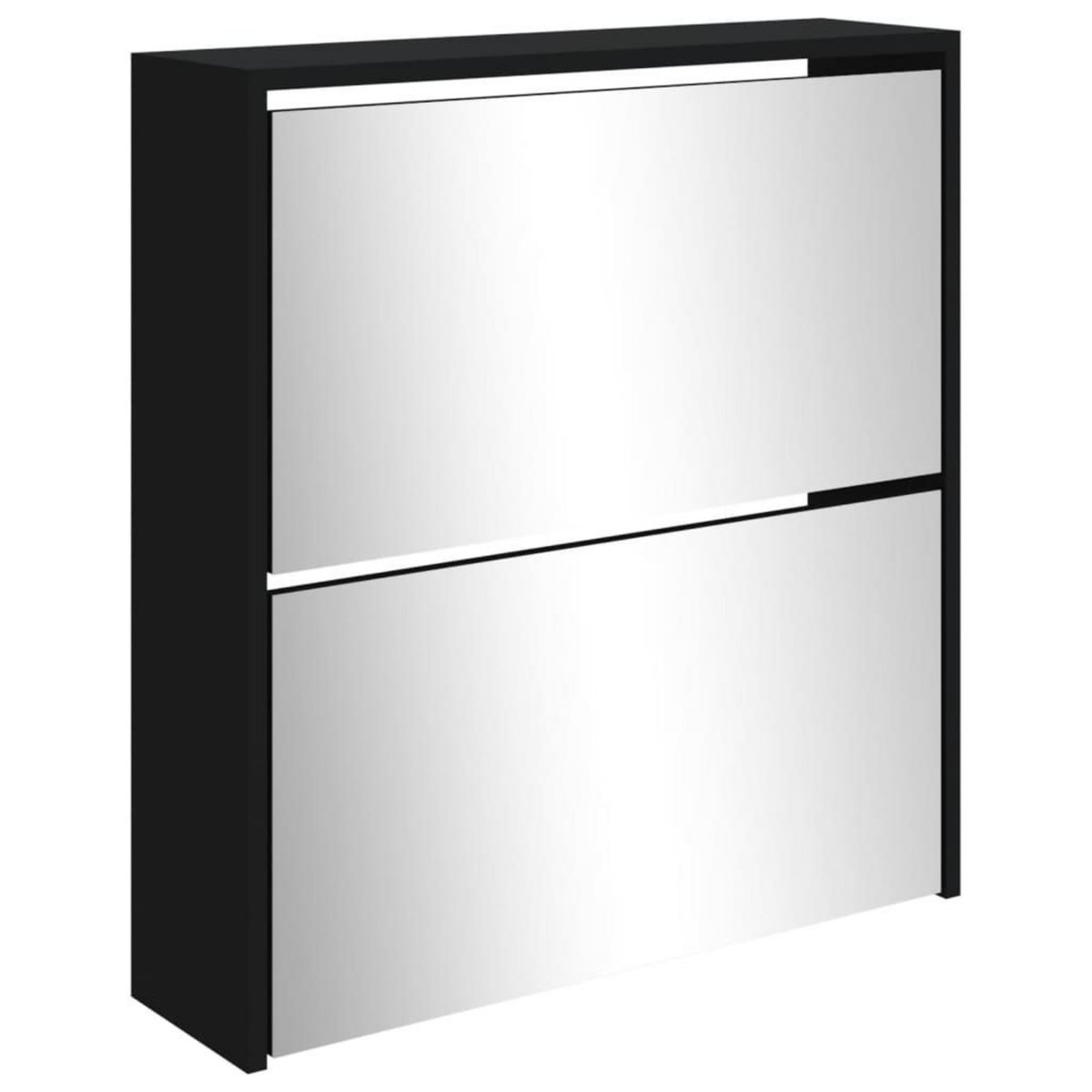 VIDAXL Armoire a chaussures avec miroir a 2 niveaux Noir 63x17x67 cm