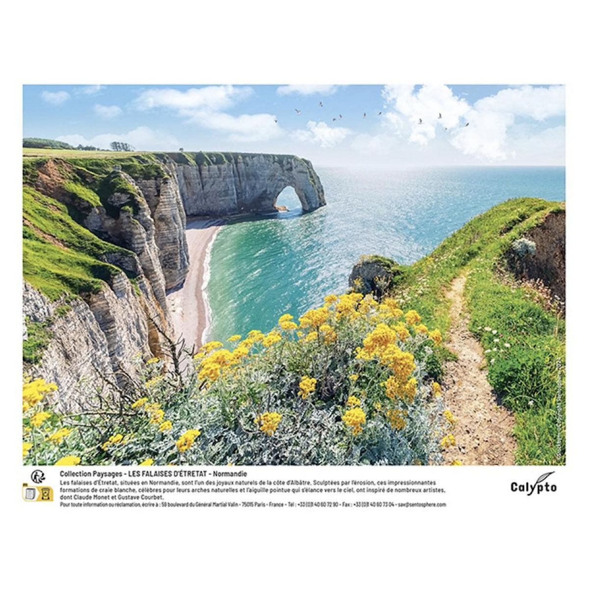 Sentosphere Puzzle 1000 pieces - Les falaises d etretat Normandie - Calypto -