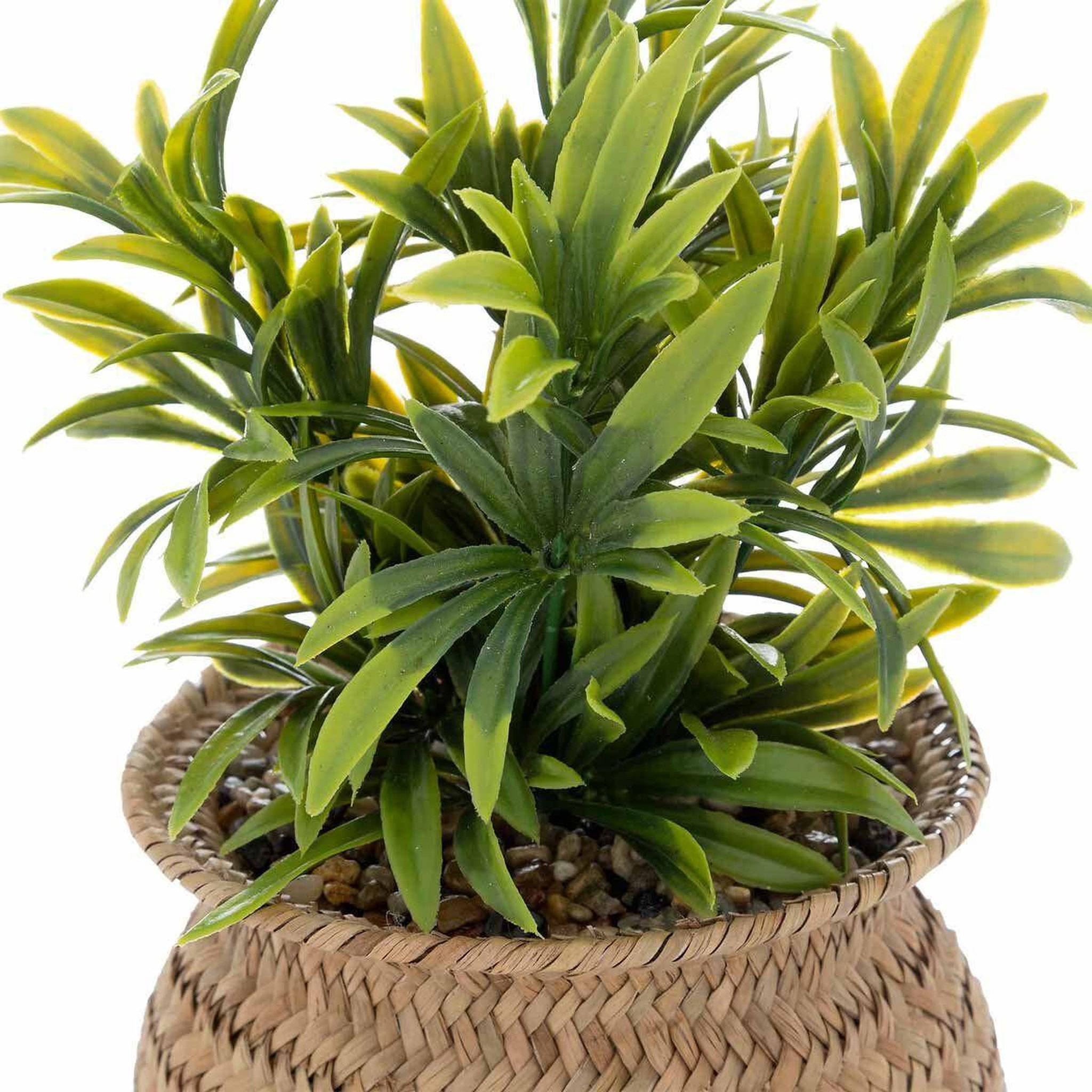 Voir la diapositive 2 : ATMOSPHERA Plante artificielle en pot  jiling  20cm beige
