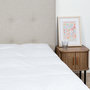 Voir la diapositive 6 : BELLECOUR BELLECOUR LITERIE | Surmatelas TRANQUILITE | Duvet et plumes