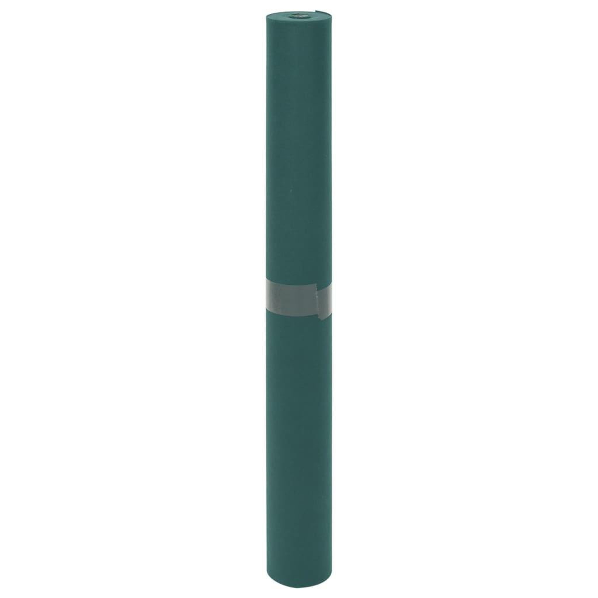 Voir la diapositive 3 : VIDAXL Toison vegetale 70 g/m² 10x1,6 m