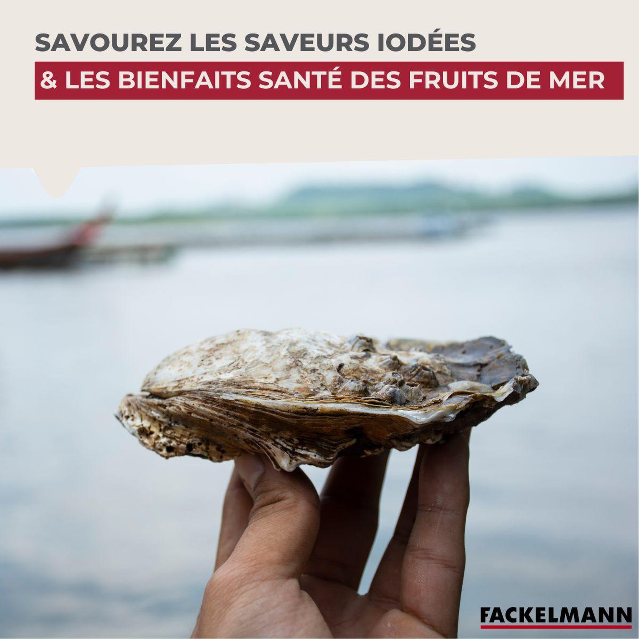 Voir la diapositive 6 : Fackelmann Support pour plateau de fruits de mer fackelmann