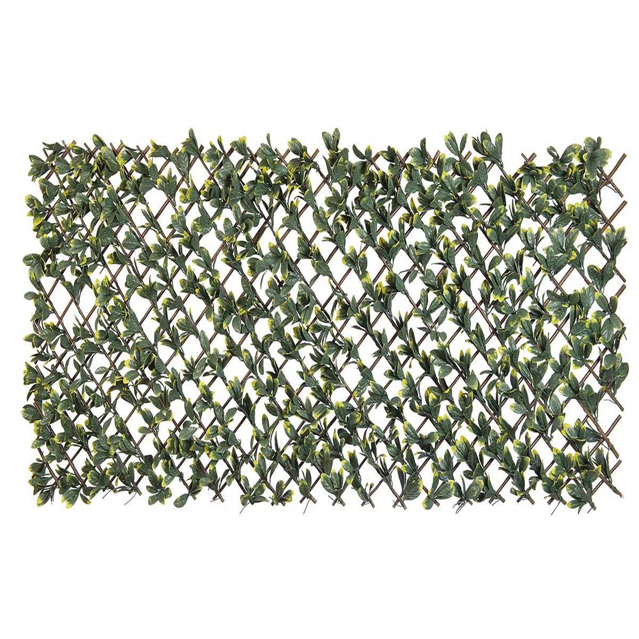 NATURE Treillis extensible en osier avec feuillage pe troène de californie 180 x 90 cm - nature