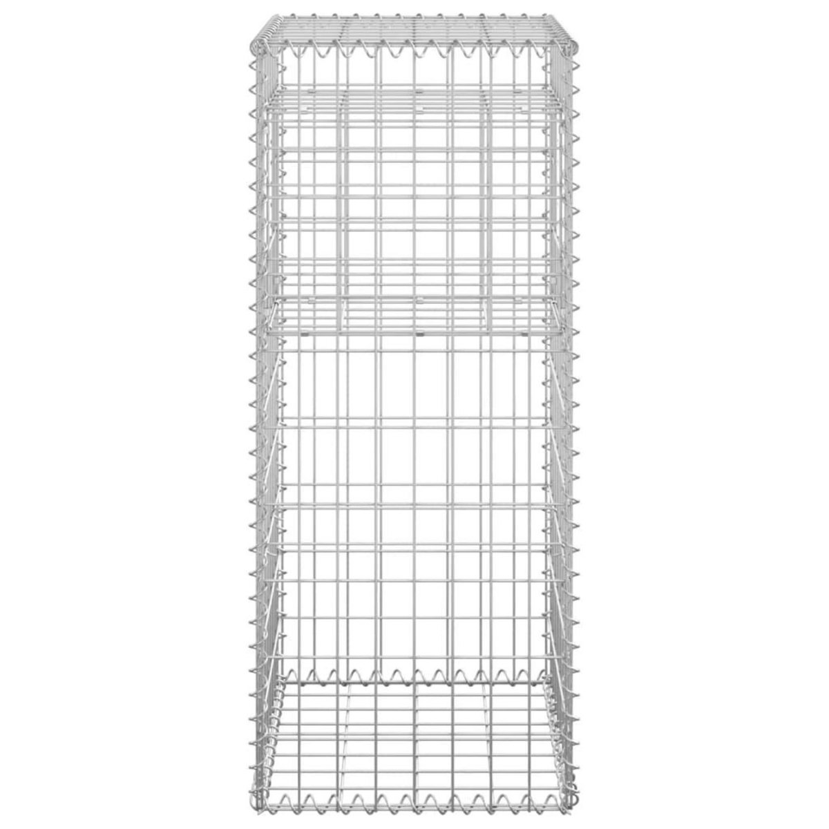 VIDAXL Poteaux a panier de gabion 2 pcs 40x40x100 cm Fer
